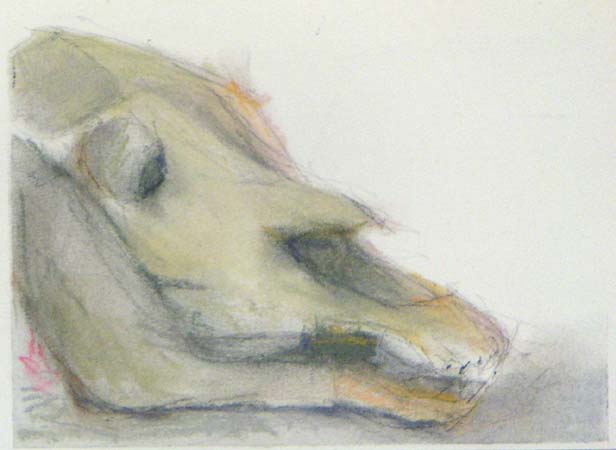 Kallo          <br>pastelli 2004
