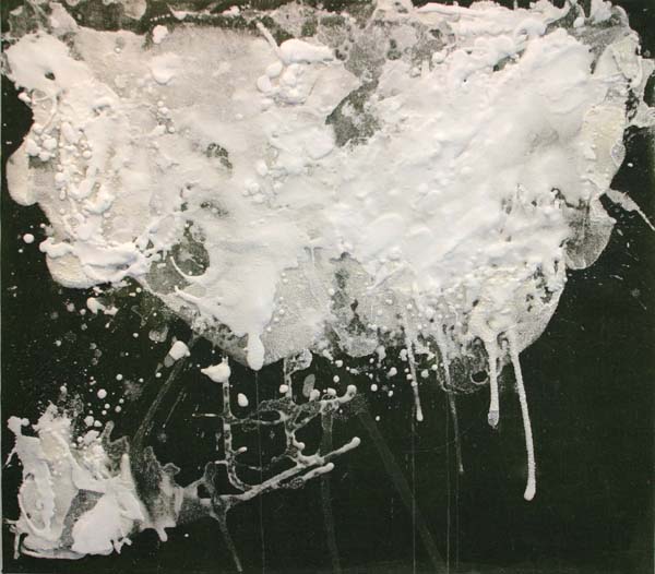 Kide 1  <br>suola ja lakka kankaalle,	2005  	81x73