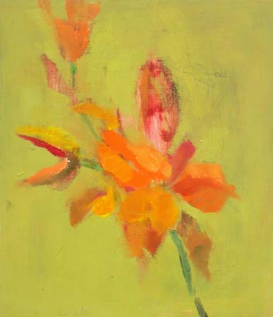 Hehku  <br>öljy -05