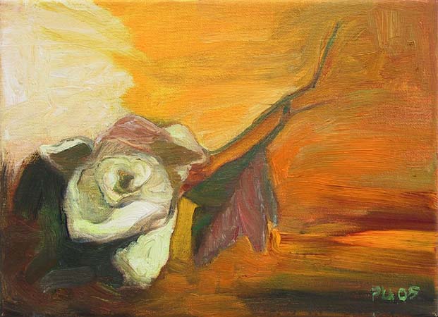 Herkkä  <br>öljy -05