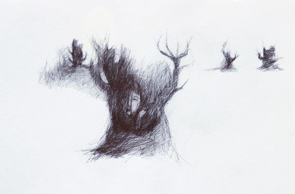 Puun varjoja  <br>kuulakärkikynä paperille 2006