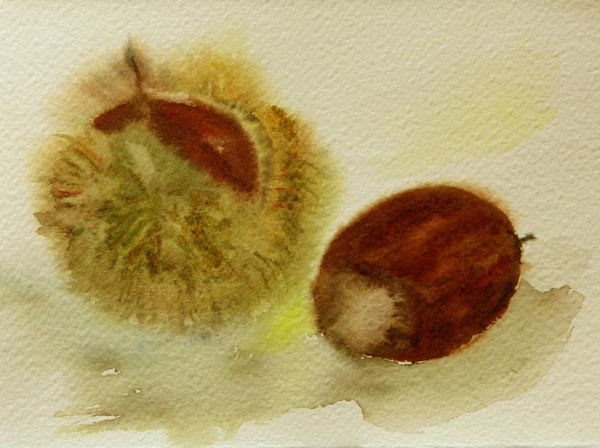 Kastanjan synty  <br>akvarelli	2006