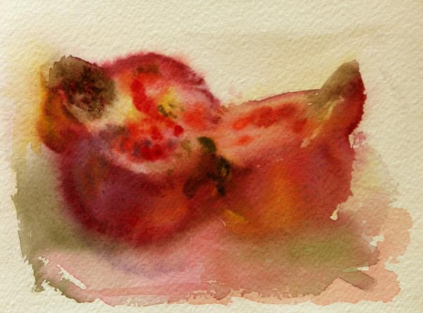 Kirpeä mehu  <br>akvarelli	2006