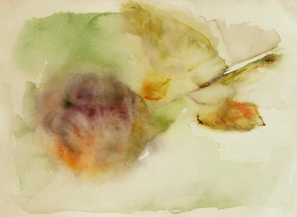 Viimeinen hortensia  <br>akvarelli	 2006