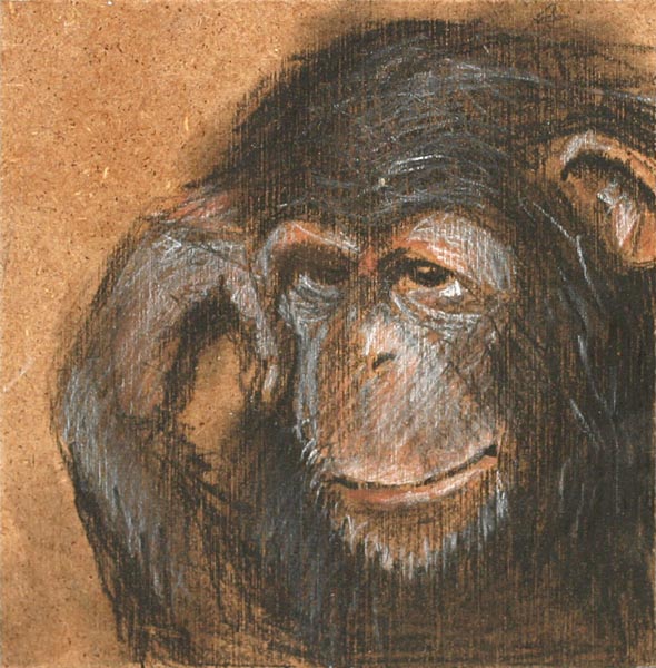 sarjasta: Jotakin tuttua  <br>piirustus levylle 2006-2007 12 x 12 cm