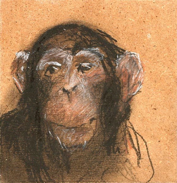 sarjasta: Jotakin tuttua  <br>piirustus levylle 2006-2007 12 x 12 cm