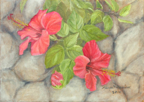 Kiinanruusu  <br>öljy 2010