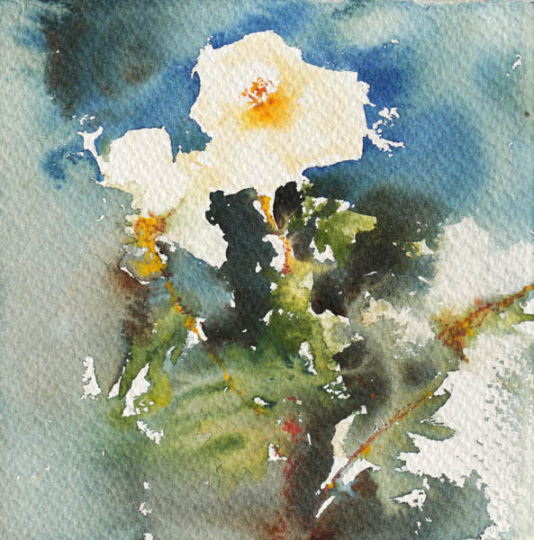 Mummun ruusut<br>  akvarelli 2013