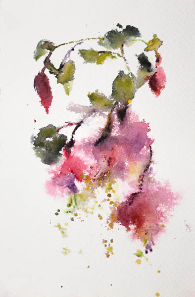 Luonnon kruunu<br>  akvarelli 2014